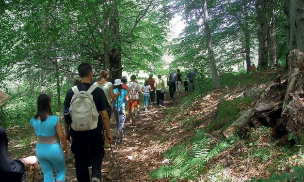 Διαβούλευση για τουρισμό υπαίθρου