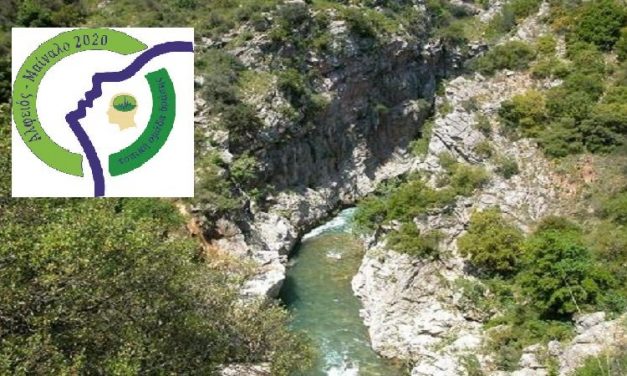 ΤΑΠΤοΚ “Αρκαδία 2020”