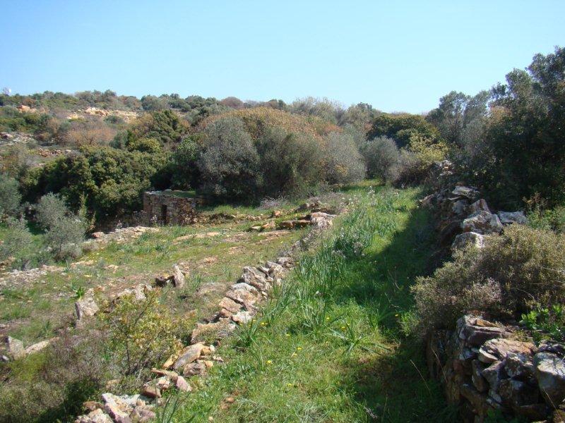 Μοναδικό δίκτυο μονοπατιών Θυμιανούσικης πέτρας στην Χίο