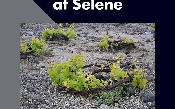 Επιτυχημένη η Vedema στην Σαντορίνη