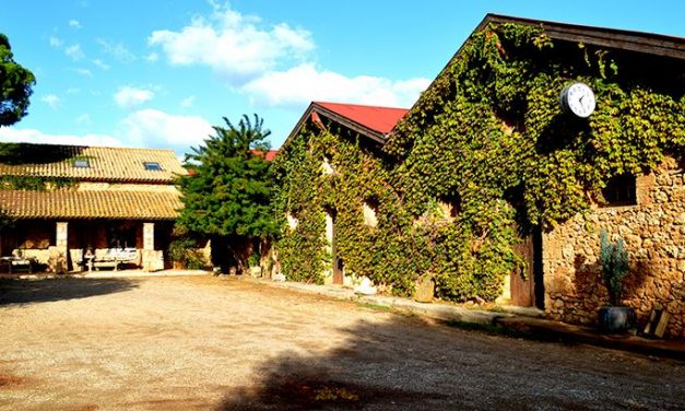 Σε ανάπτυξη ο κλάδος της ξενοδοχίας εκτιμά η Alpha Bank