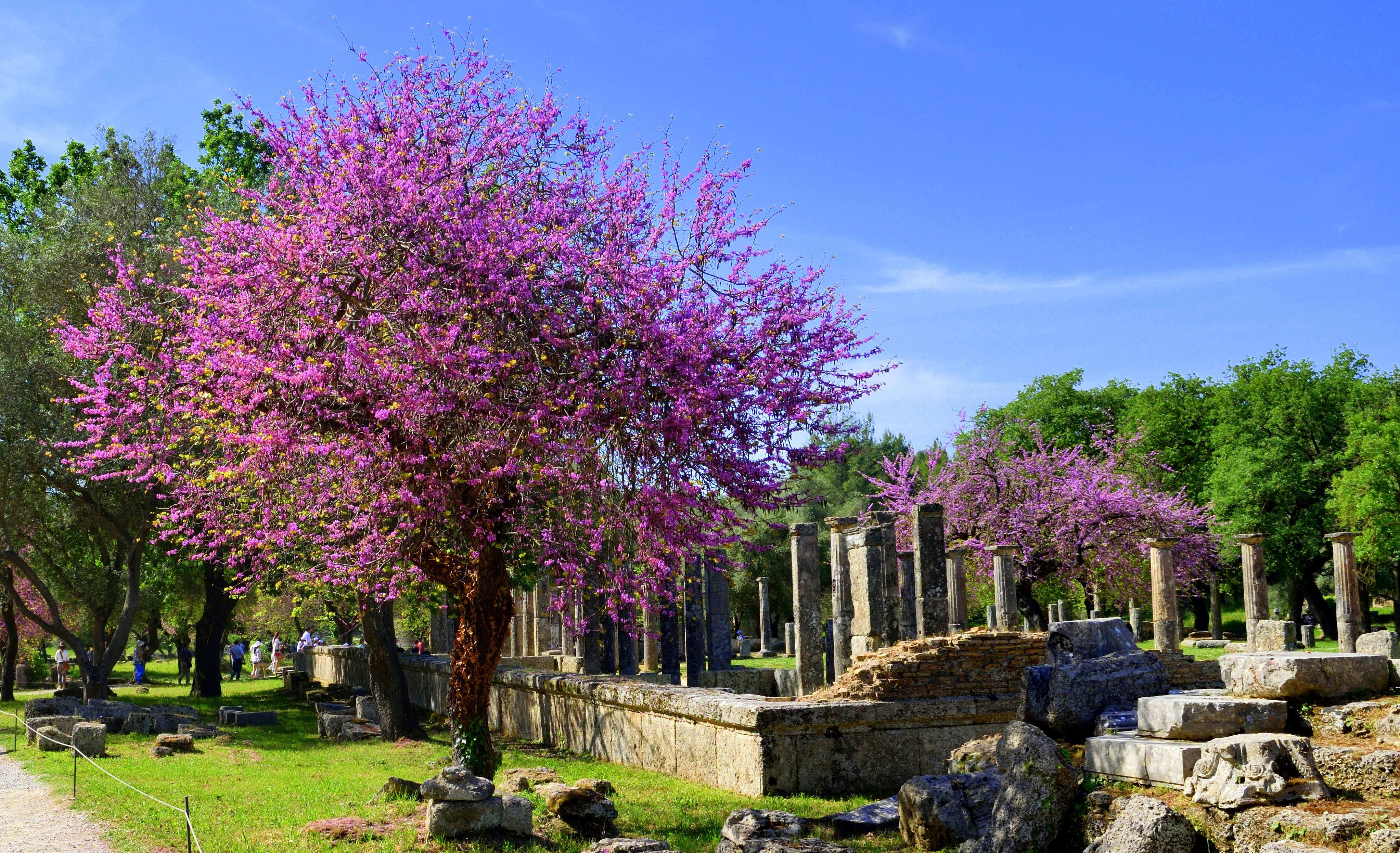 Τα μουσεία γιορτάζουν