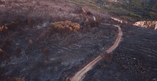 Ζάκυνθος: Εθνικό Αστεροσκοπείο | Η καμένη έκταση από την πρόσφατη πυρκαγιά εκτιμάται σε 7.470 στρέμματα