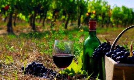 Συμμετοχή της Περιφέρειας Κεντρικής Μακεδονίας στην ψηφιακή έκθεση κρασιού «LONDON WINE FAIR» – Πρόσκληση προς επιχειρήσεις