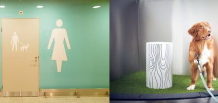 Αυτή η χώρα προσφέρει στο αεροδρόμιο τις τουαλέτες για κατοικίδια