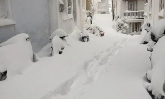 Έλεγχος και καταγραφή ζημιών σε Βίλια, Ερυθρές και Οινόη