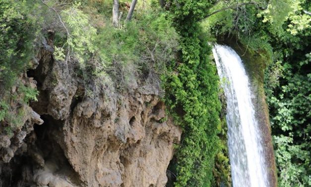 Σώστε τον Εδεσσαίο Ποταμό και τους Καταρράκτες της Έδεσσας. Στοπ στο έργο καταστροφής της Έδεσσας. Όχι στην ασχήμια, όχι στα τσιμέντα, Όχι στην κοπή δέντρων.