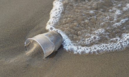 Aπαγόρευση όλων των πλαστικών μίας χρήσης μέχρι τον Ιούλιο του 2021