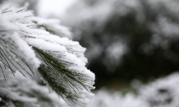 Κακοκαιρία «Λέανδρος»: Χιόνια και στην Αττική – Η κατάσταση στην υπόλοιπη χώρα