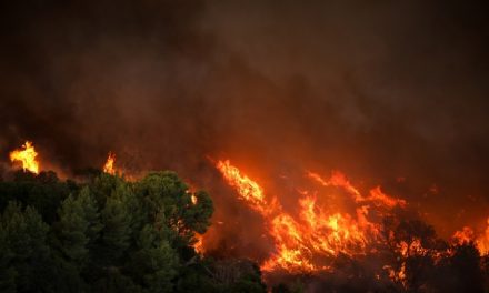 Φωτιά στη Βαρυμπόμπη : Το μέγεθος της καταστροφής σε εικόνες