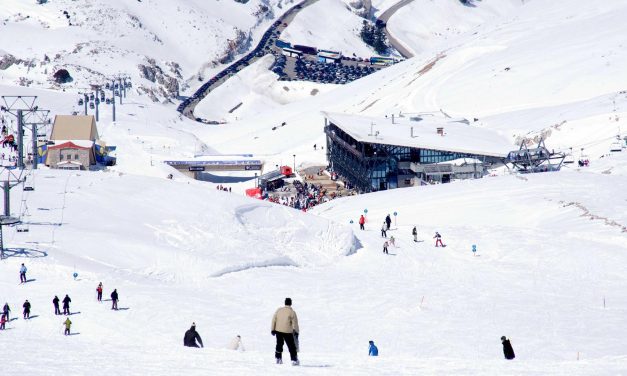 ΕΤΑΔ: Διαγωνισμός για την εκμίσθωση των Σαλέ του Χ.Κ. Παρνασσού