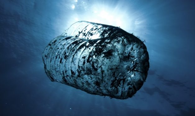 Cyprus: The 2nd Press Event of project SUPMed on Tuesday 26 October 2021