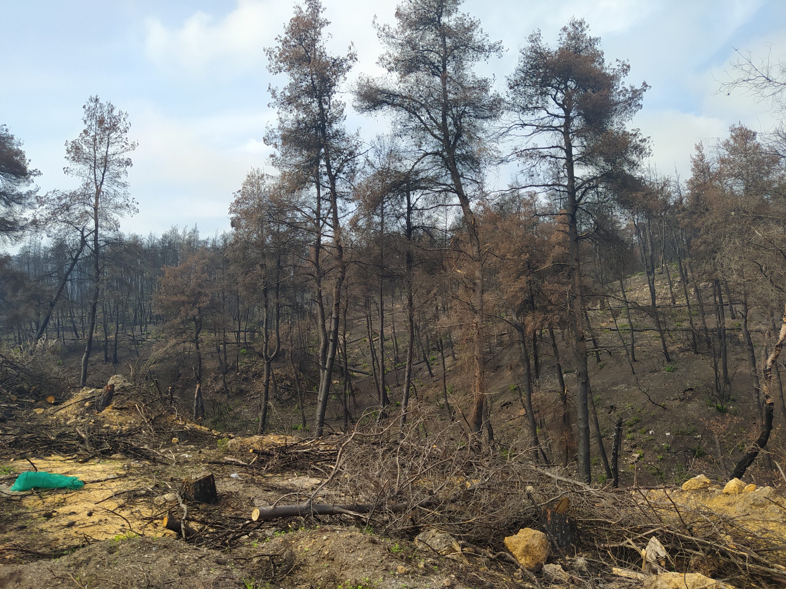 Οδοιπορικό της itn Ελληνικός Τουρισμός στην Βόρεια Εύβοια