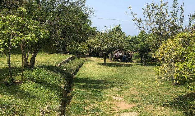 Η Πρωτότυπη Αναβίωση ενός Παλιού Νερόμυλου