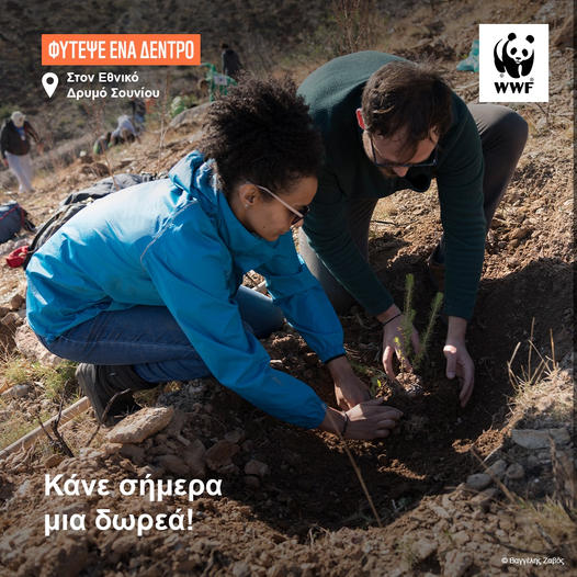 WWF Greece Τα δέντρα δεν είναι μόνο πηγή οξυγόνου. Είναι σύμβολο ζωής και ελπίδας.