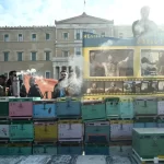 Συλλαλητήριο των μελισσοκόμων στο Σύνταγμα – Έστησαν κυψέλες έξω από τη Βουλή