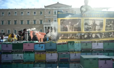 Συλλαλητήριο των μελισσοκόμων στο Σύνταγμα – Έστησαν κυψέλες έξω από τη Βουλή