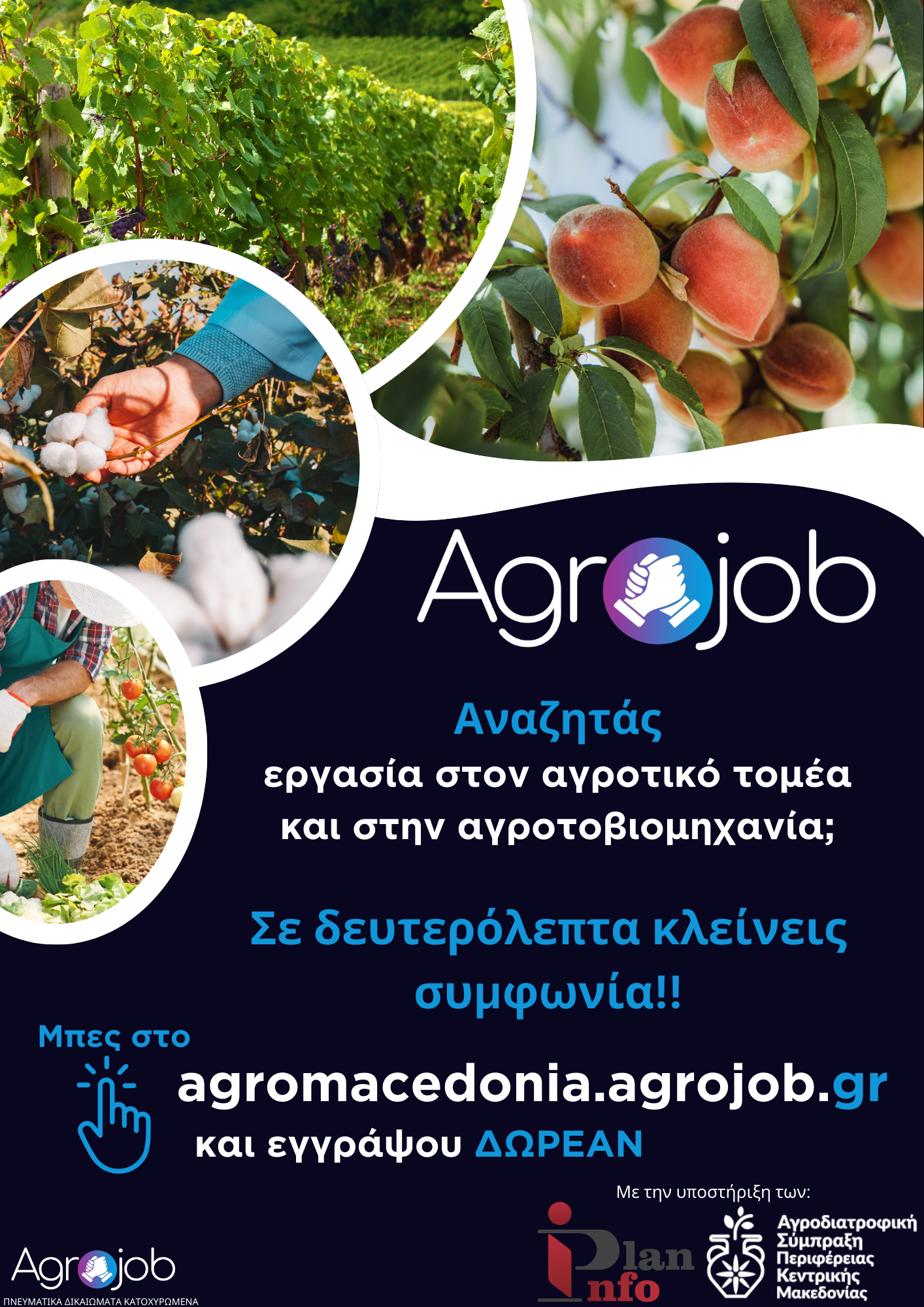 Ενημερωτική Εκδήλωση για την Πλατφόρμα AGROJOB στον Δήμο Θερμαϊκού￼