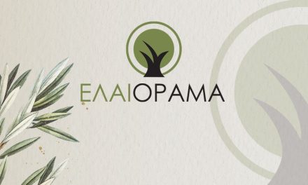 Το ΕΛΑΙΟΡΑΜΑ φέρνει επανάσταση στο αγουρέλαιο Χαλκιδικής – Συνδυασμός παράδοσης & καινοτομίας