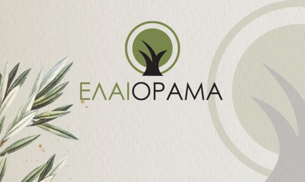 Το ΕΛΑΙΟΡΑΜΑ φέρνει επανάσταση στο αγουρέλαιο Χαλκιδικής – Συνδυασμός παράδοσης & καινοτομίας