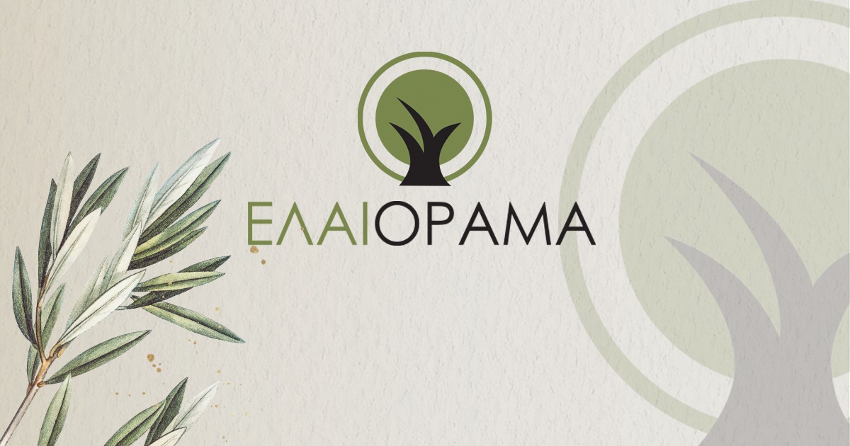 Το ΕΛΑΙΟΡΑΜΑ φέρνει επανάσταση στο αγουρέλαιο Χαλκιδικής – Συνδυασμός παράδοσης & καινοτομίας