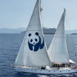Βlue Panda Ξανά στην Ελλάδα για την προστασία της Ελληνικής Τάφρου!