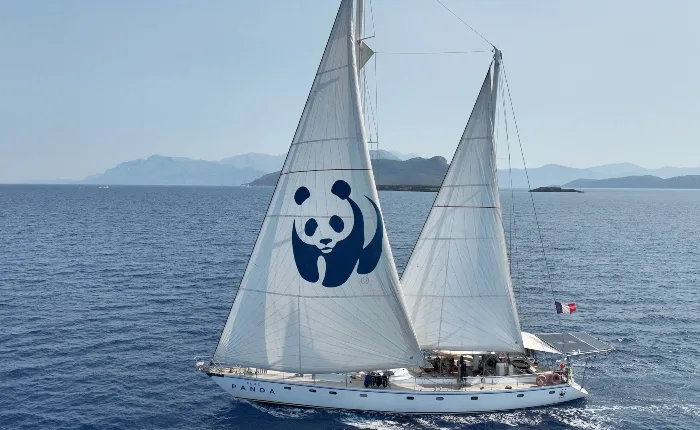 Βlue Panda Ξανά στην Ελλάδα για την προστασία της Ελληνικής Τάφρου!
