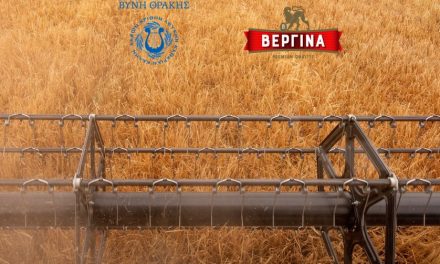 ΣΤΗΝ ΚΑΛΥΤΕΡΗ ΤΙΜΗ ΤΗΣ ΑΓΟΡΑΣ ΚΑΙ ΧΩΡΙΣ ΠΛΑΦΟΝ ΣΤΑ ΚΙΛΑ ΤΟ ΒΥΝΟΠΟΙΗΣΙΜΟ ΚΡΙΘΑΡΙ ΤΗΣ ΖΥΘΟΠΟΙΙΑΣ ΜΑΚΕΔΟΝΙΑΣ ΘΡΑΚΗΣ Α.Ε. ￼
