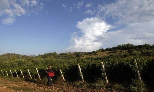 Η σχέση του κλίματος με τις αμπελοκαλλιέργειες Χρήστος Αποστόλου ￼