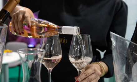 Wine Vision by Open Balkan: : Η Σερβία στο προσκήνιο της οινικής και γαστρονομικής Ευρώπης