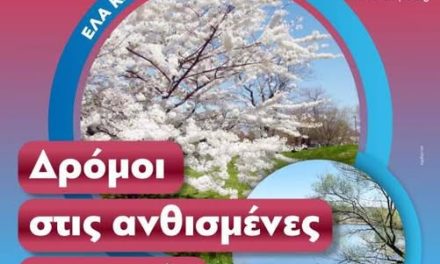 Η Πέλλα σας καλεί στις Ανθισμένες κερασιές…